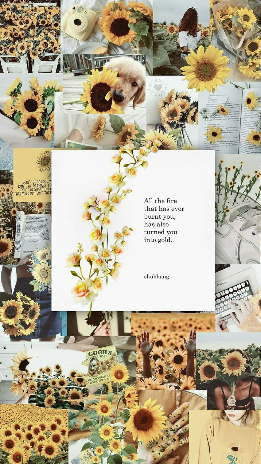Sunflower Inspired Beige Vanilla Aesthetic Collage Wallpaper