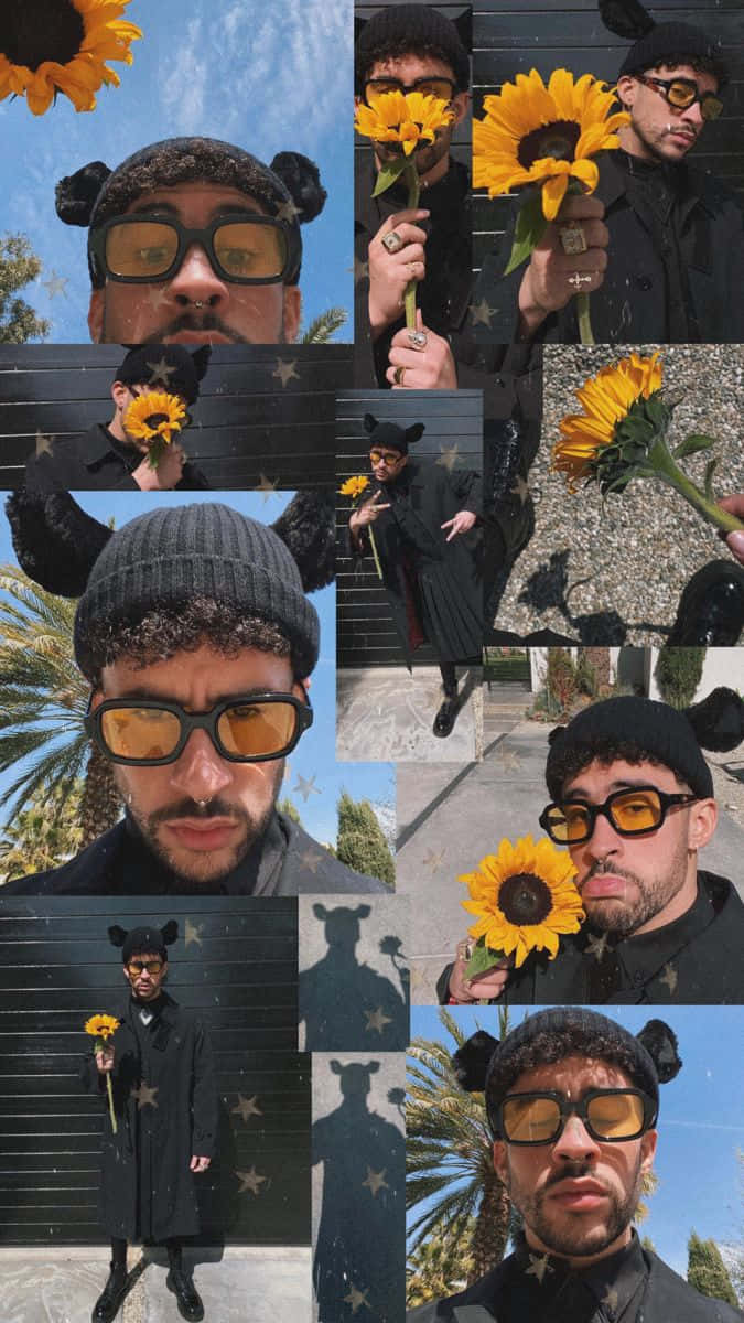 Sunflower_ Moments_ Collage.jpg Wallpaper