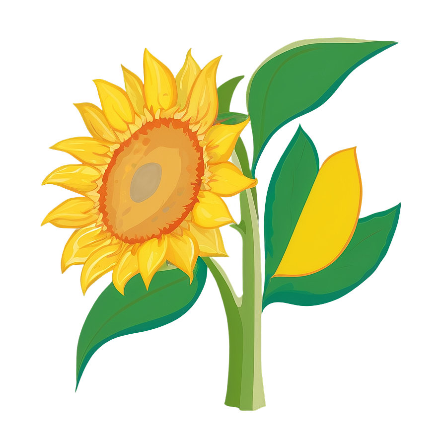 Sunflower Outline Transparent Png Jcv PNG