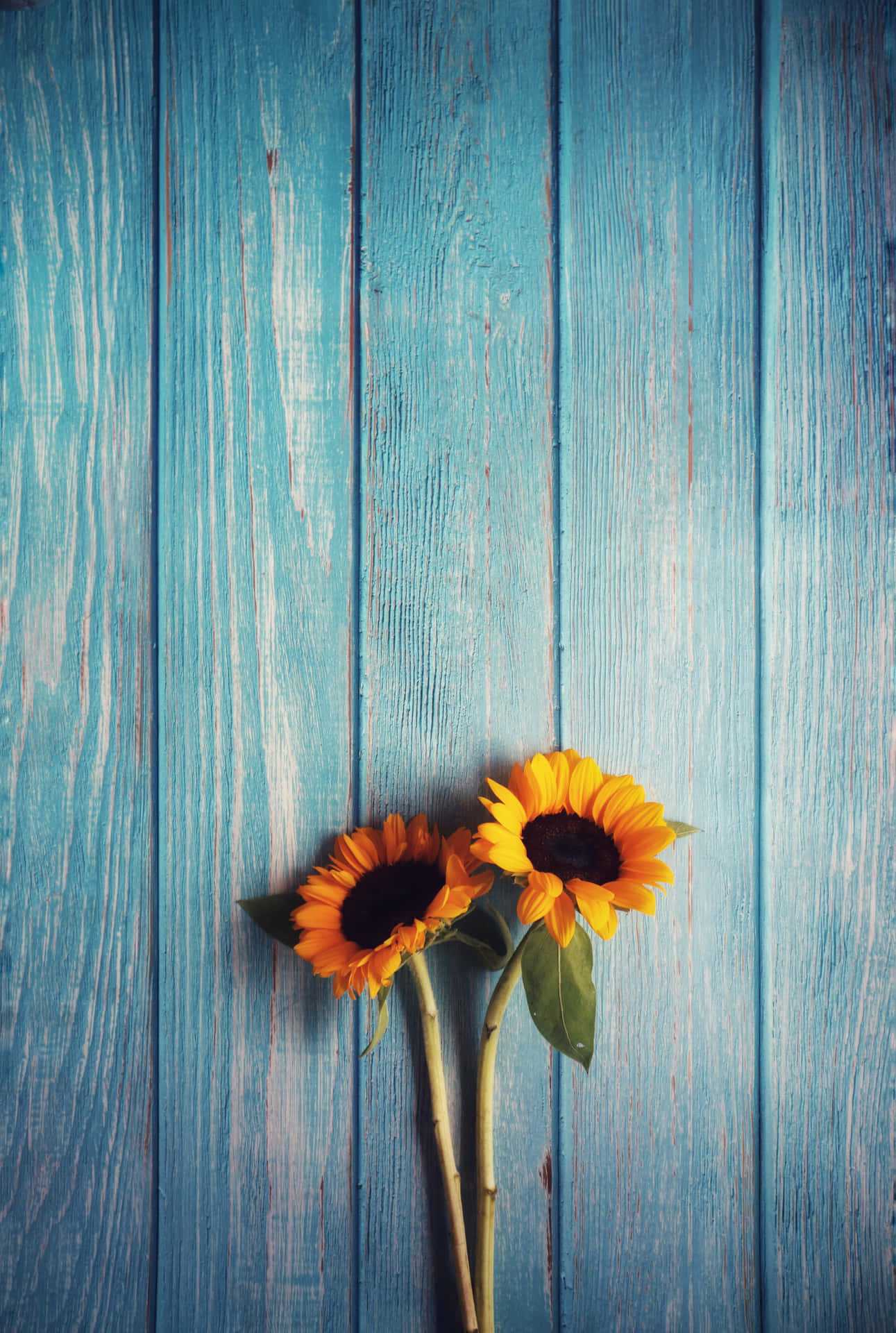 Wooden Table With Sunflower Phone Wallpaper