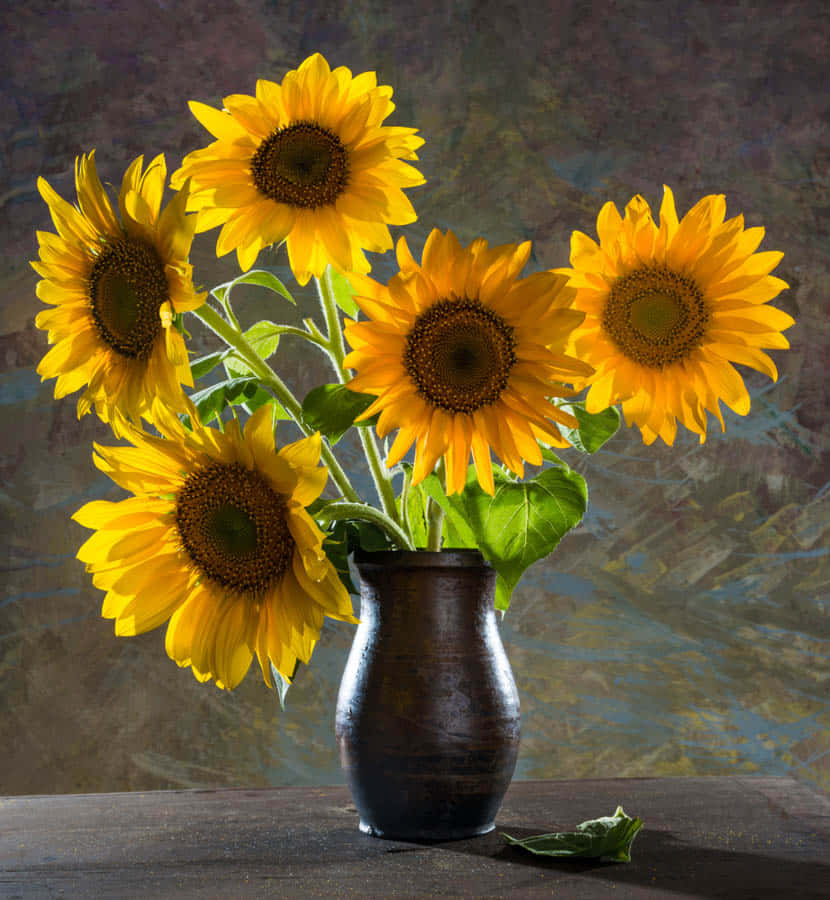 An abundance of sunflowers radiates in the sun