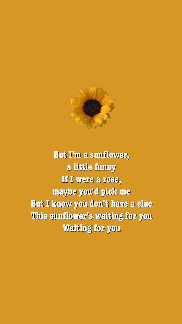 Aesthetic Sunflower Quotes Wallpaper