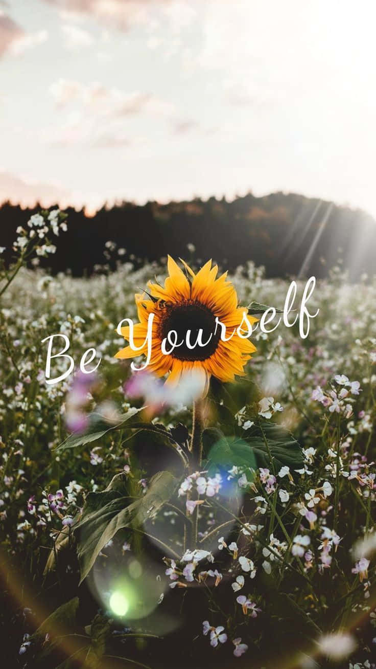 Sunflower Self Quotes Wallpaper