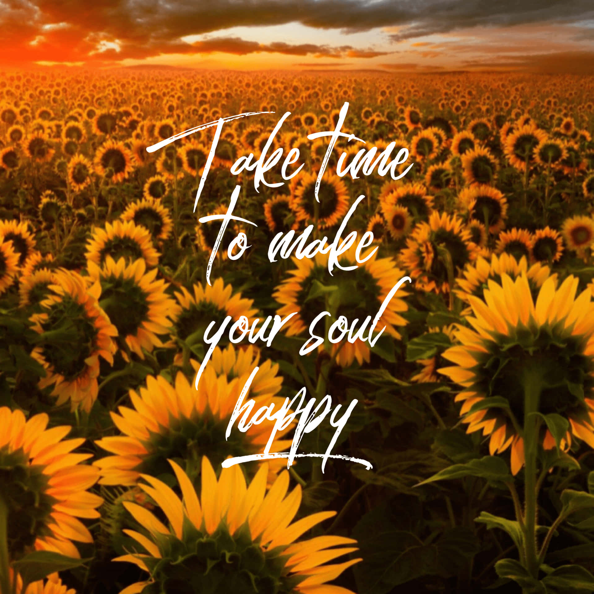 Sunflower Self-Healing Quotes Wallpaper