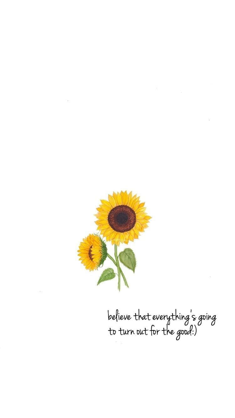 Download Minimalist Sunflower Quotes Wallpaper  Wallpaperscom