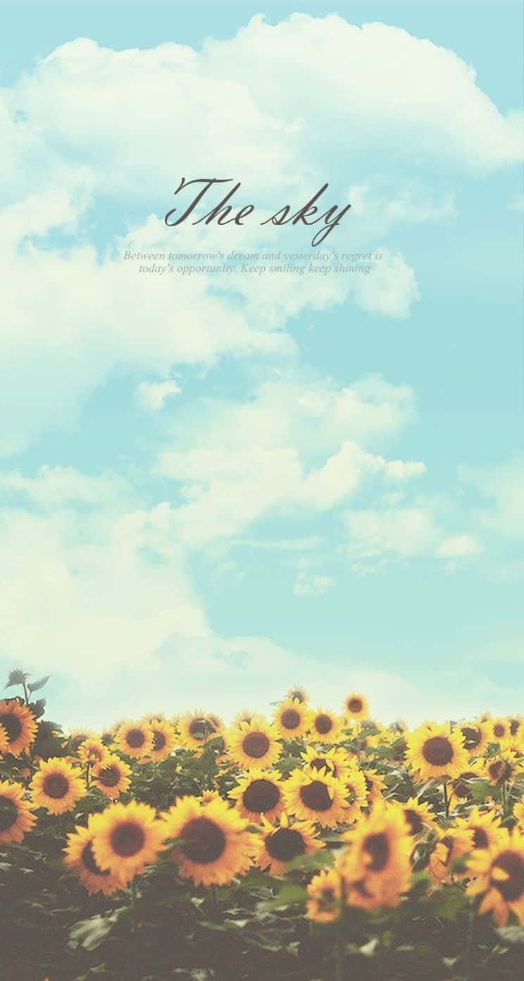 Det Sky Sunflower Quotes Wallpaper bringer en smule solskin inde. Wallpaper