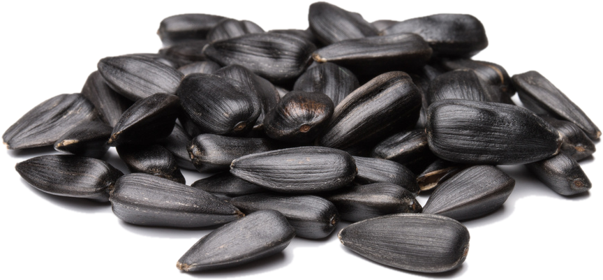 Sunflower Seeds Pile Isolated.png PNG