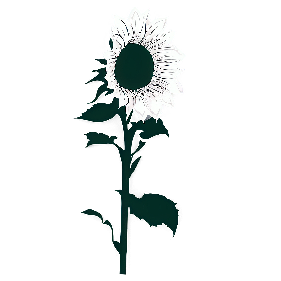 Sunflower Silhouette Transparent Png 05262024 PNG