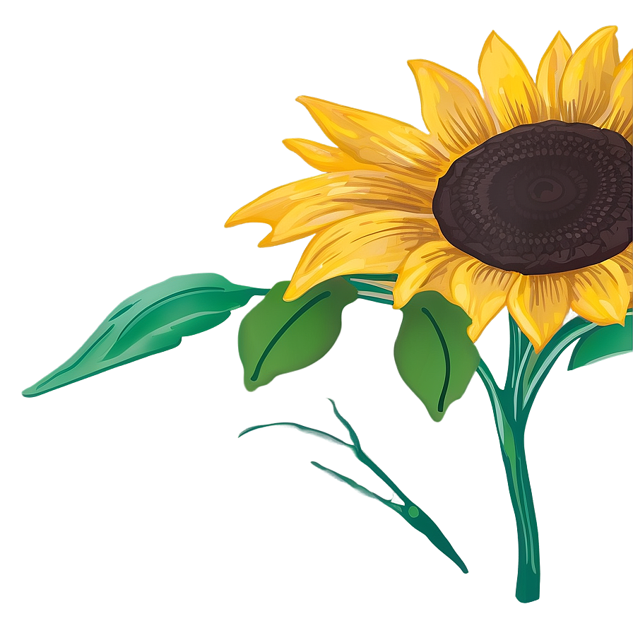 Sunflower Sketch Png 94 PNG