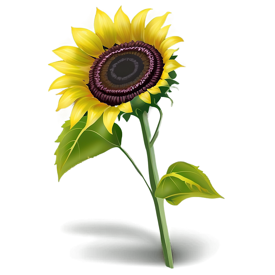 Sunflower Transparent Sign Png 2 PNG