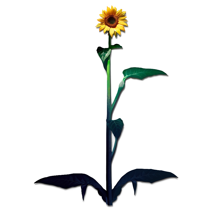 Sunflower Transparent Sign Png Skd64 PNG