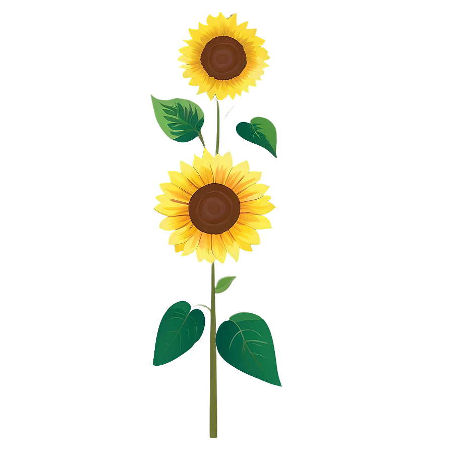 Sunflower Transparent Template Png Pir PNG