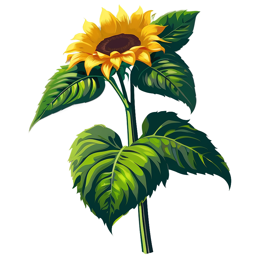 Sunflower Vector Transparent Png Nbv69 PNG