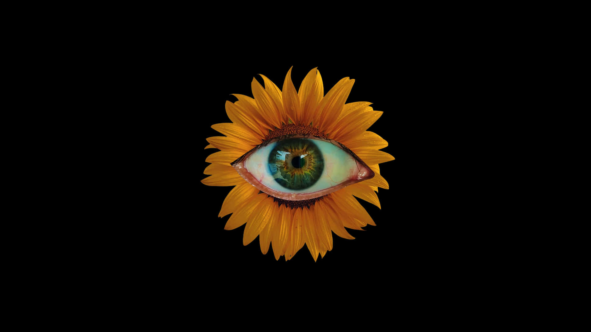 Sunflower Vision_ Surreal Art.jpg Wallpaper