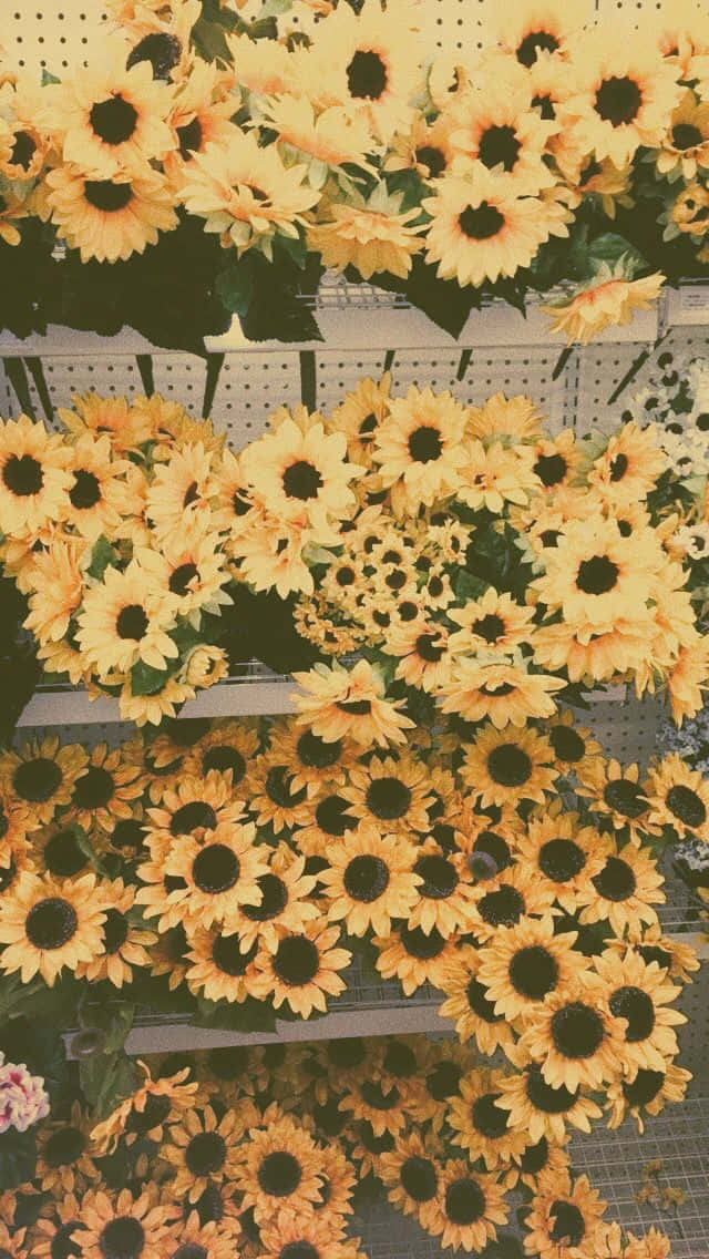 A Bunch Of Sunflowers On A Shelf Wallpaper