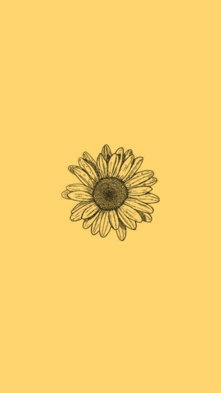 A Sunflower On A Yellow Background Wallpaper
