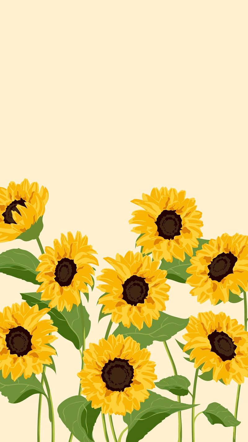 A beautiful sunflower standing proudly in its bright yellow hue. Wallpaper