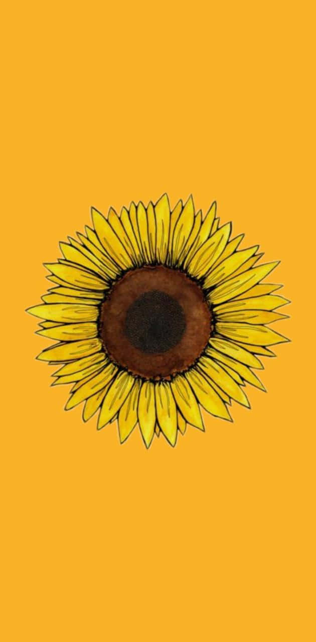 Sonnenblumenin Voller Blüte Wallpaper
