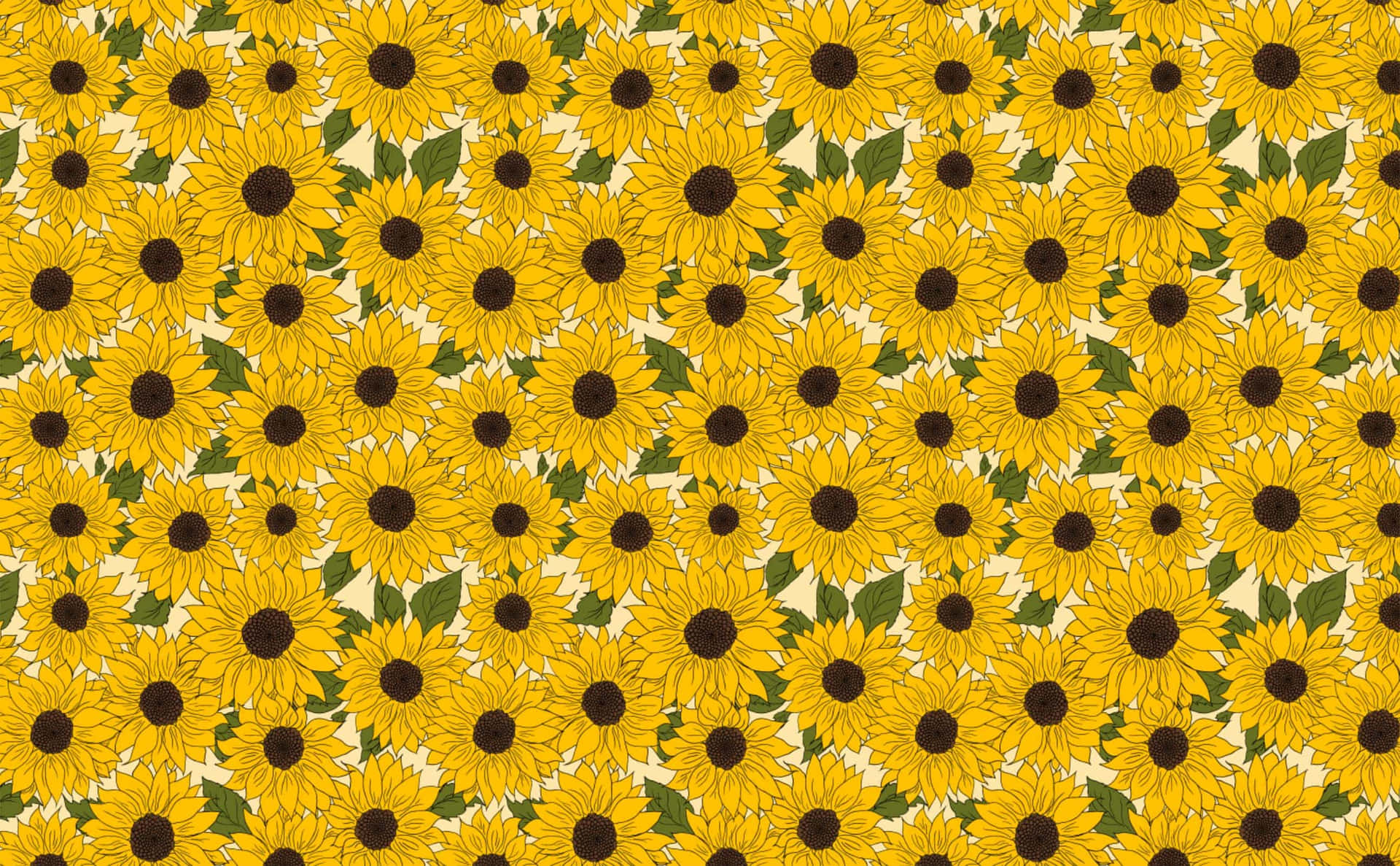 Bright Yellow Sunflower in Full Bloom Wallpaper