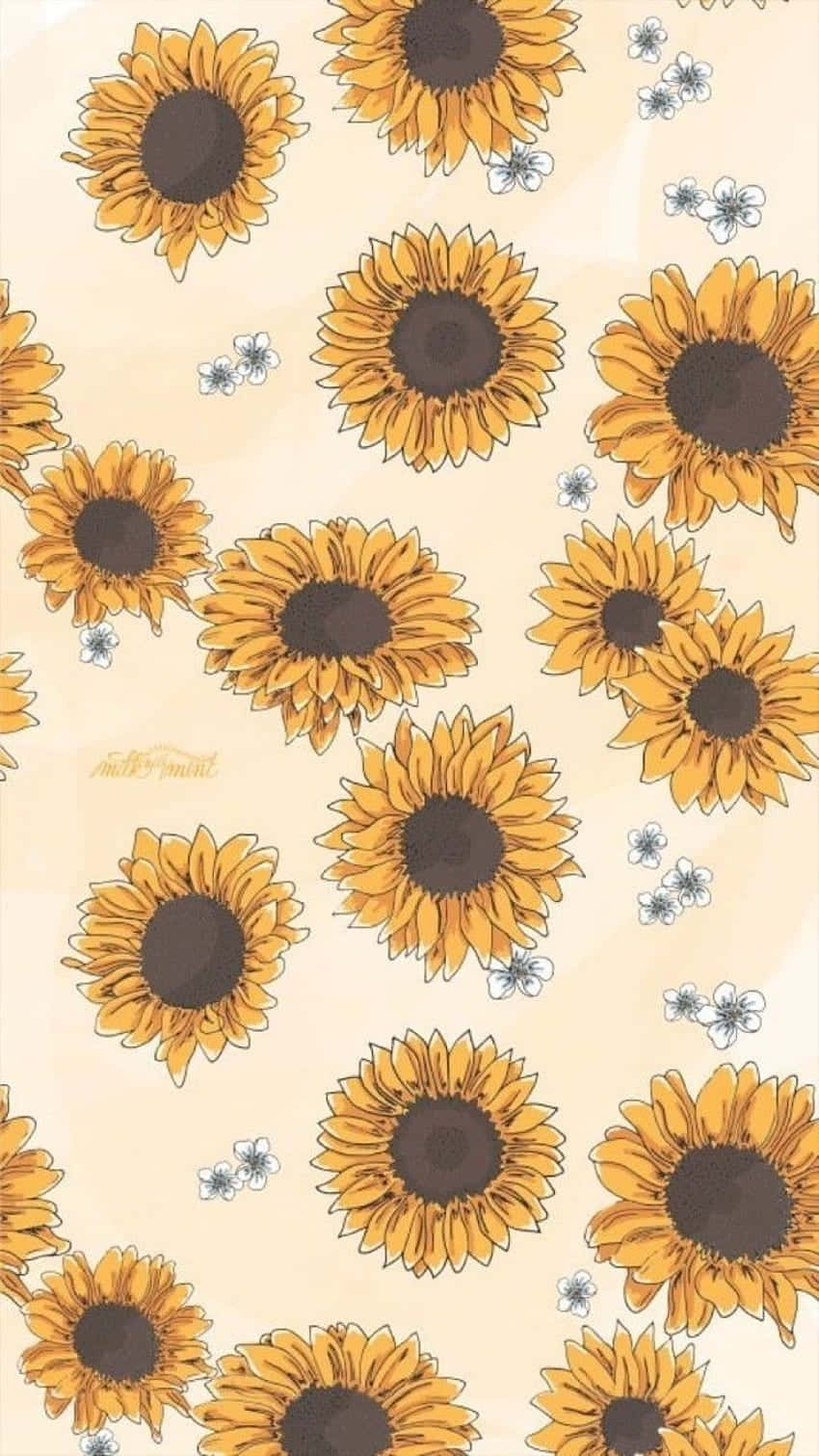 Bunch Of Sunflower Yellow Tumblr Aesthetic Wallpaper