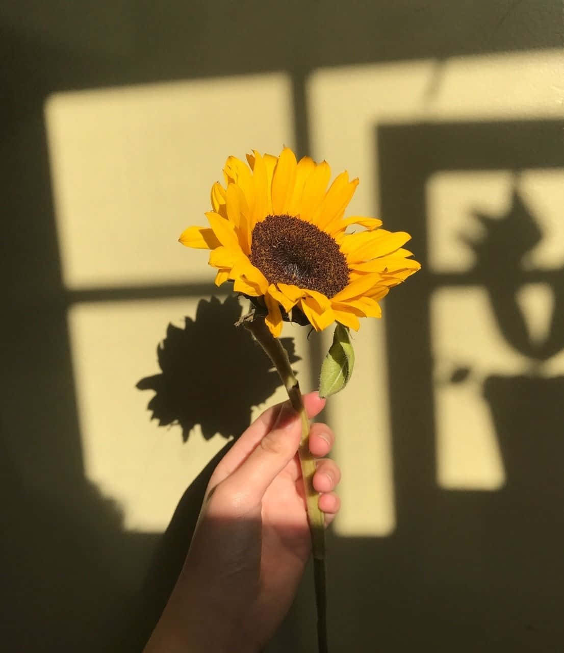 Erhelledein Leben Mit Einem Sonnenblumen-gelben Tumblr-ästhetik! Wallpaper