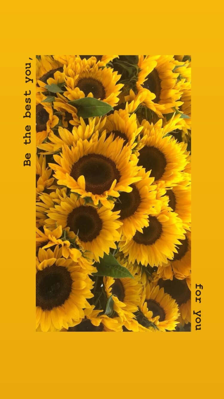 Einlebendiger Look Für Dein Zuhause: Ein Sonnenblumen-gelber Tumblr-ästhetik Wallpaper