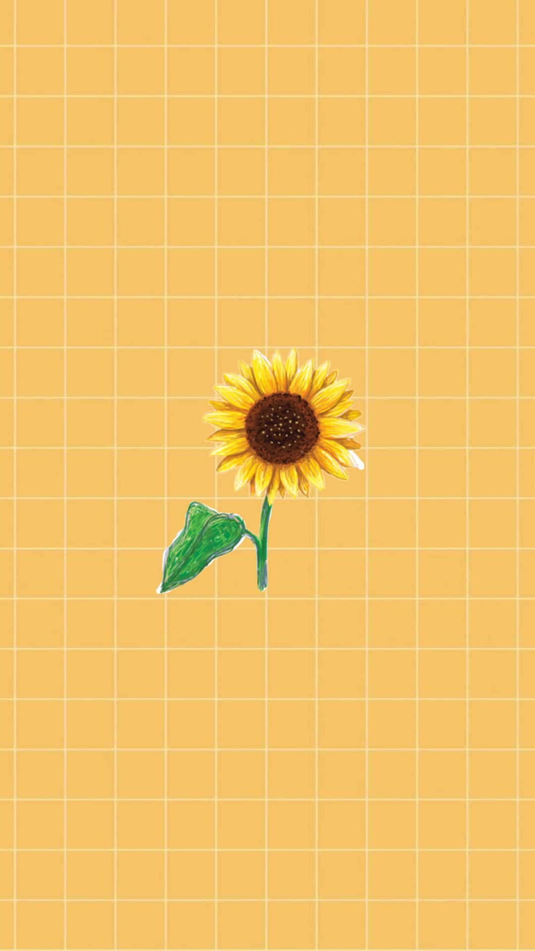 En solsikke tapet med et lyst gul tumblr æstetik Wallpaper