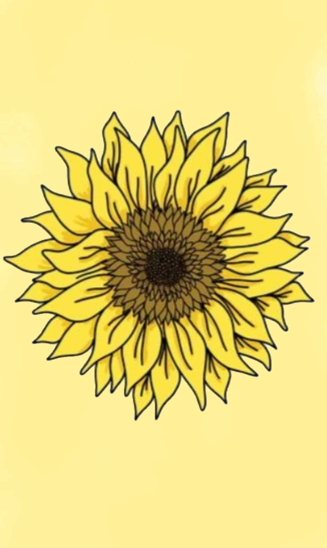 Nimmdir Zeit, Um Die Schönheit Der Sonnenblume Zu Genießen. Wallpaper