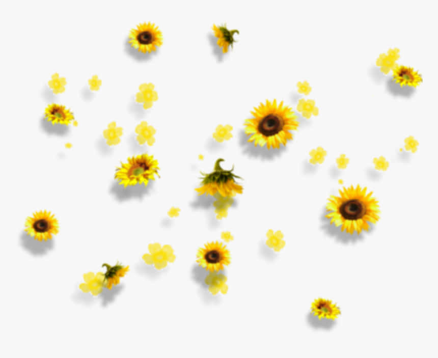 Celebrea Beleza De Um Dia De Verão Amarelo Girassol Com Esta Estética Adorável Do Tumblr. Papel de Parede