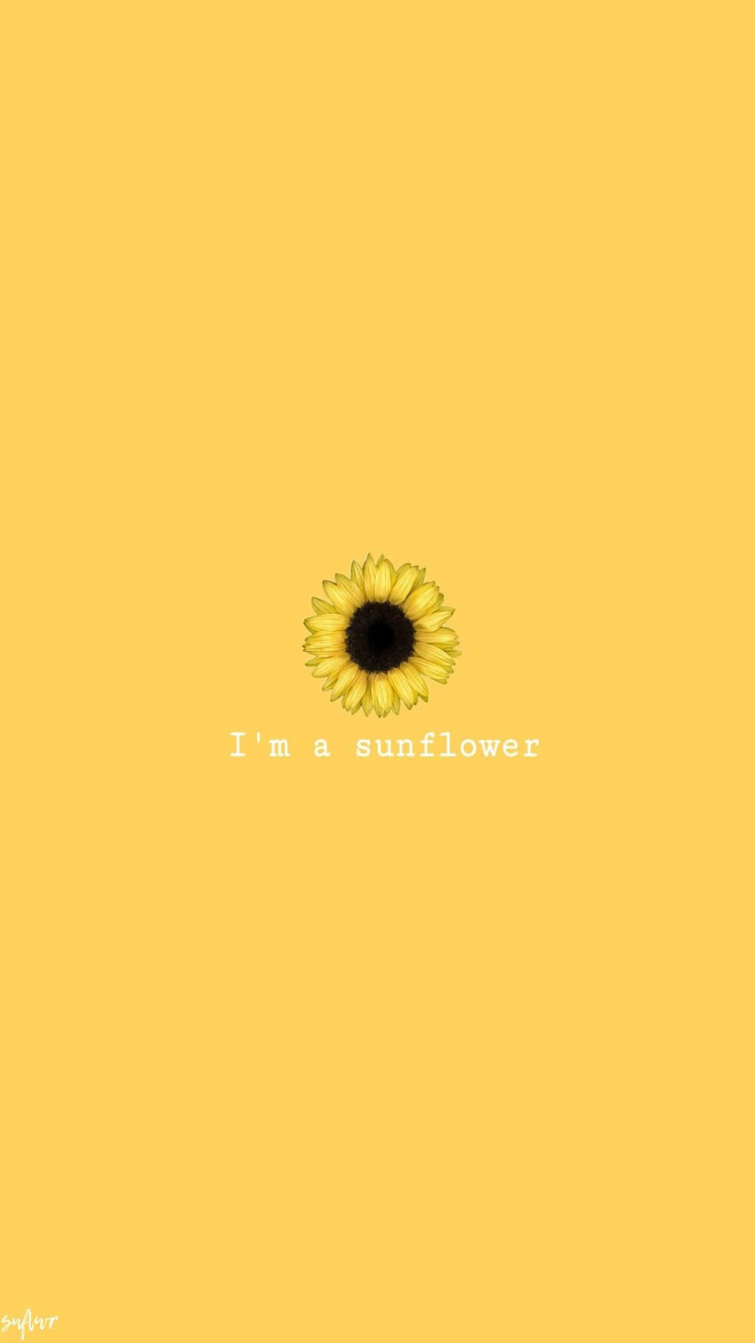 Icon Sunflower Yellow Tumblr Aesthetic Wallpaper
