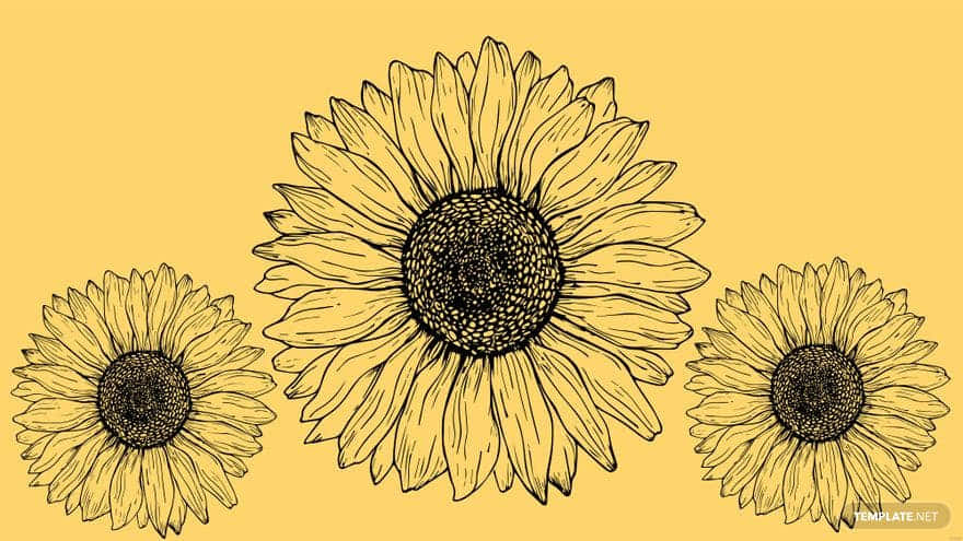 Schaudir Diese Wunderschöne Sonnenblume In Gelben Und Pinken Farben Für Ein Wunderbares Tumblr-ästhetik An. Wallpaper