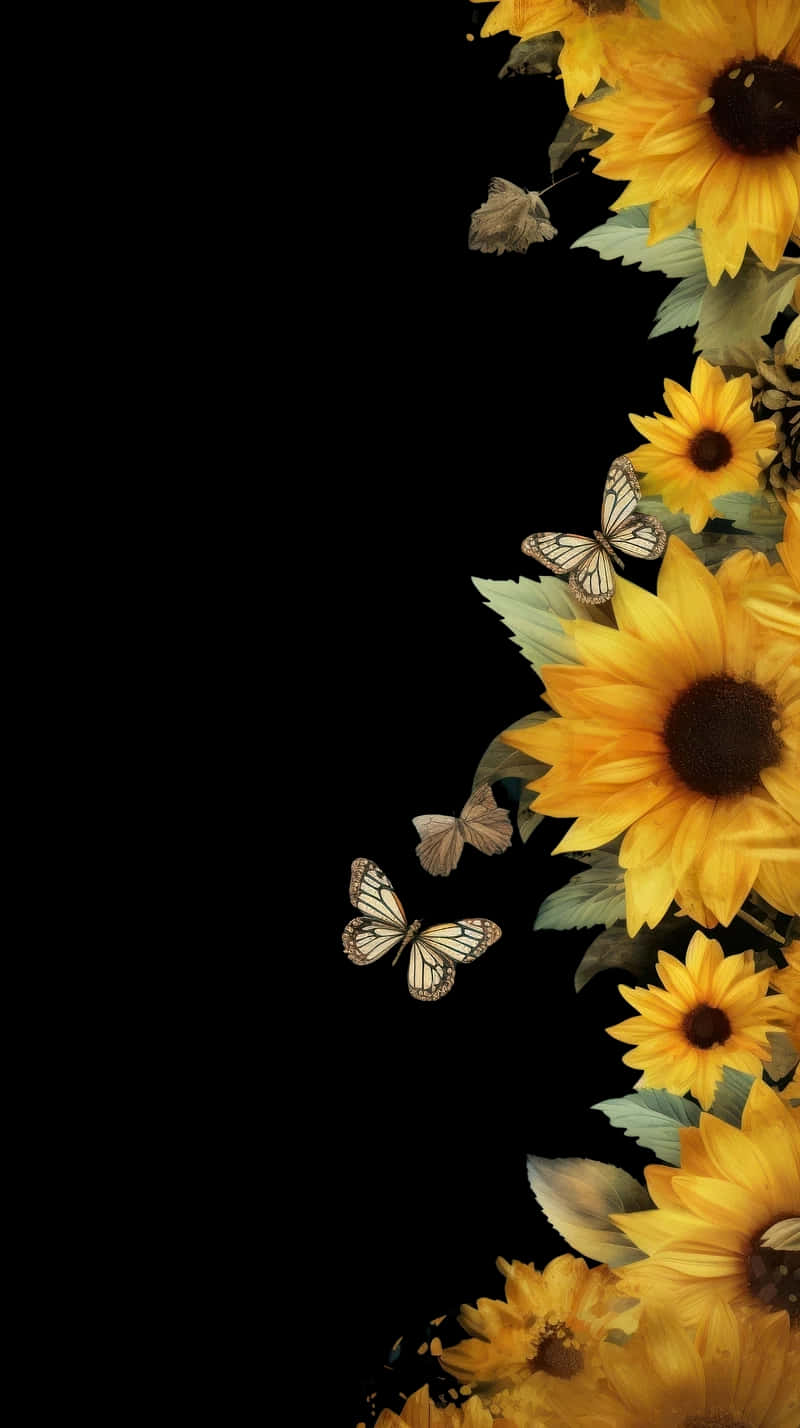 Sunflowers And Butterflies Border Wallpaper