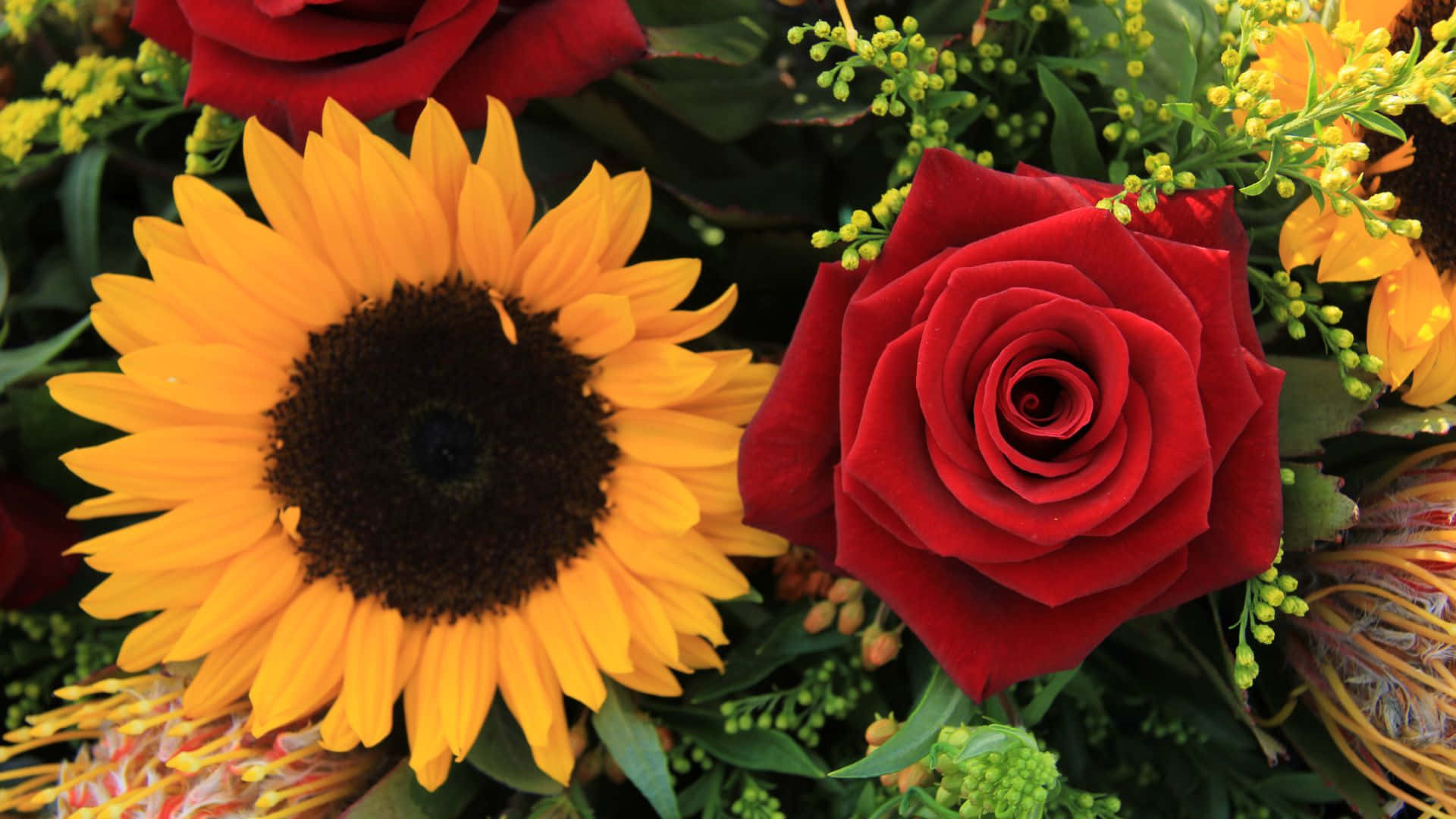 Derleuchtendste Blumenstrauß - Sonnenblumen Und Rosen Wallpaper