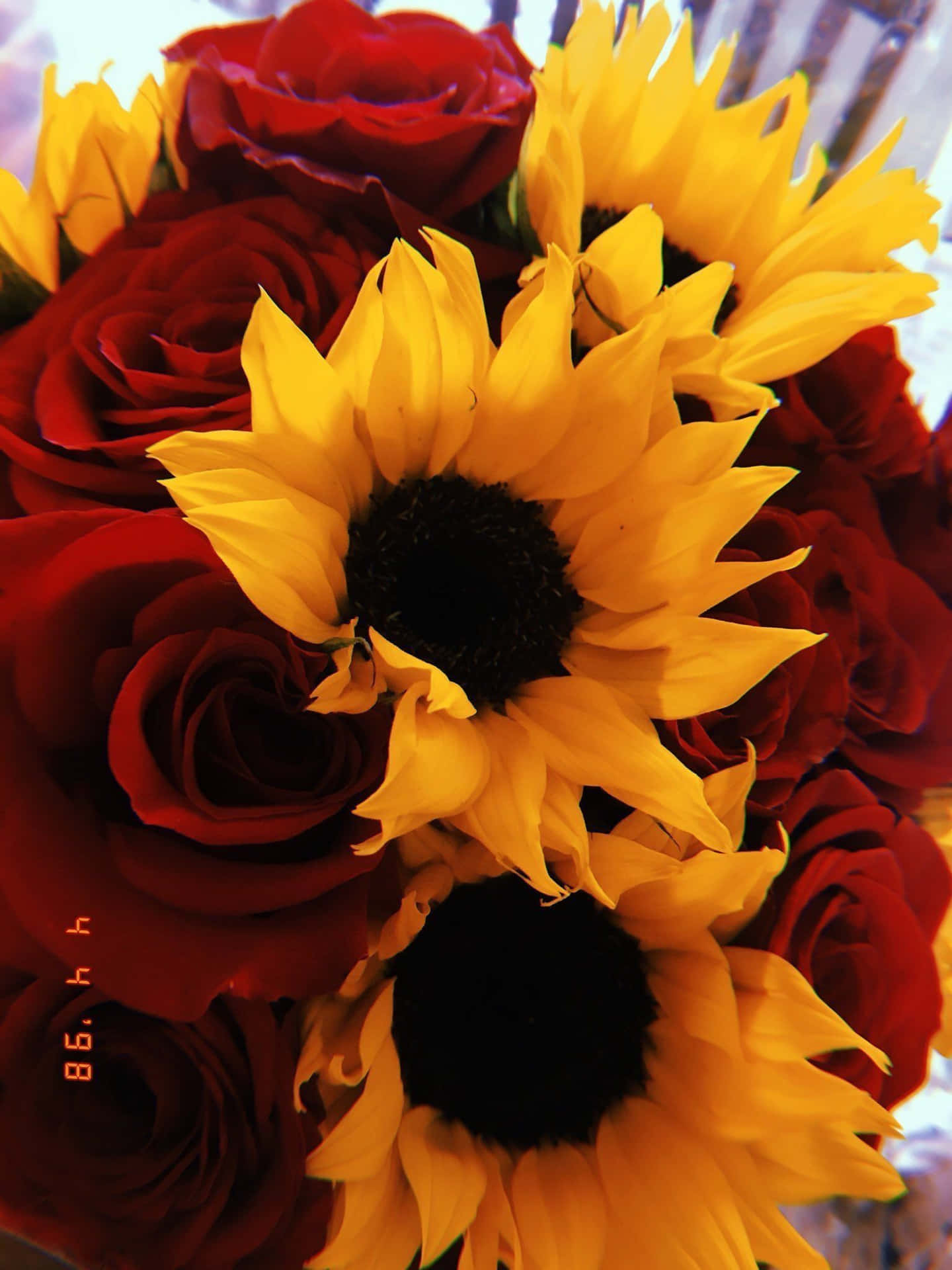 A beautiful combination of vibrant sunflowers and roses. Wallpaper