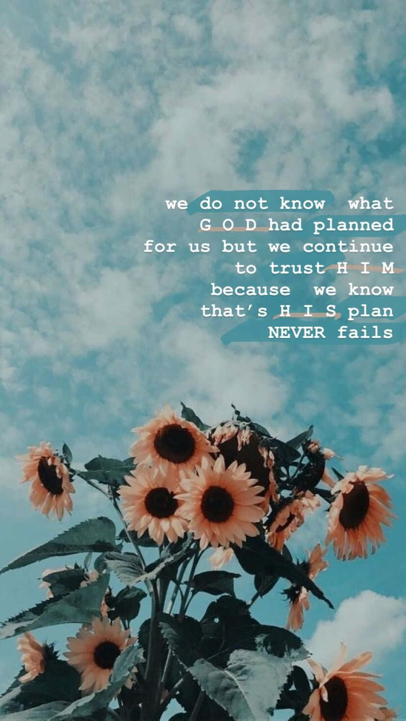 Sunflowers_and_ Sky_ Inspirational_ Quote Wallpaper