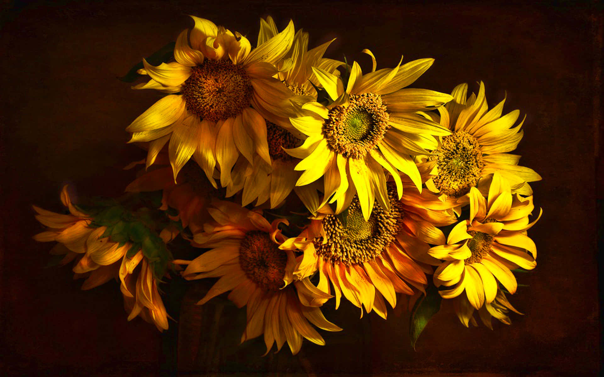 Einevase Sonnenblumen