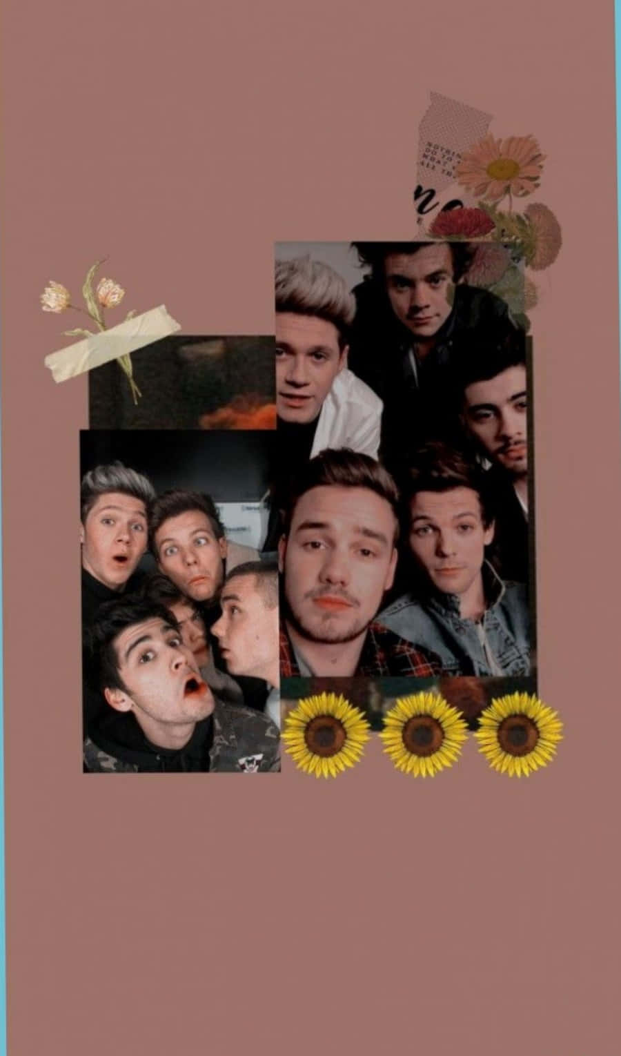Sunflowers Collage 1 Direction Iphone Wallpaper
