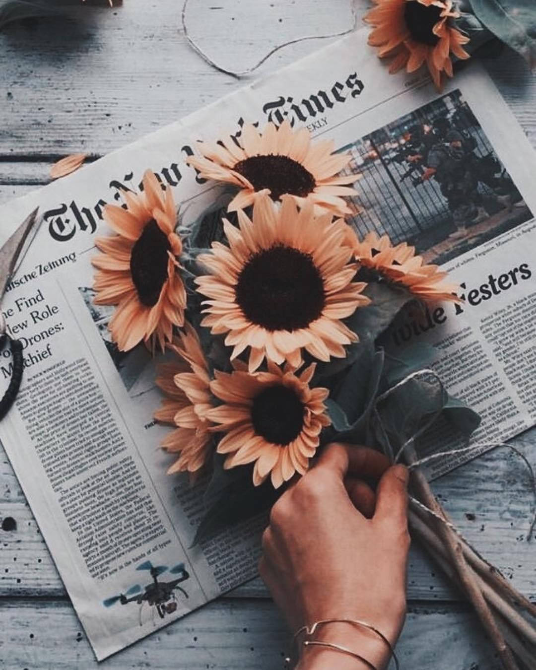 Sunflowers On Newspaper Tumblr Aesthetic