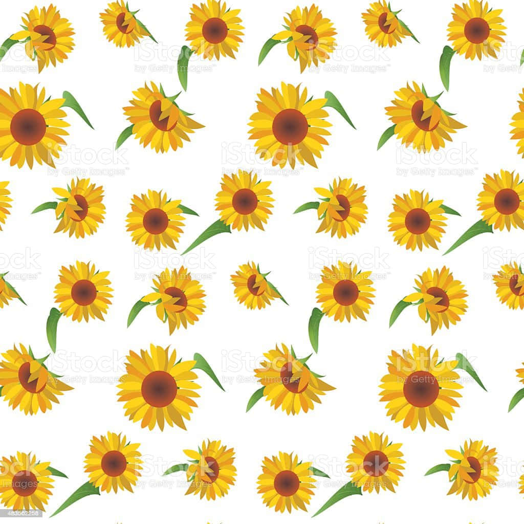 "A Field of Sunflowers"