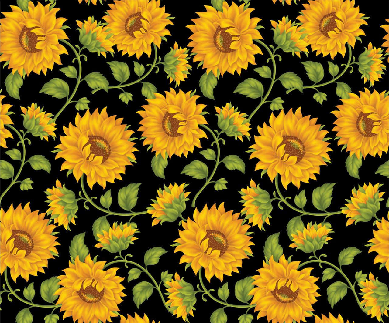 sunflowers on black background