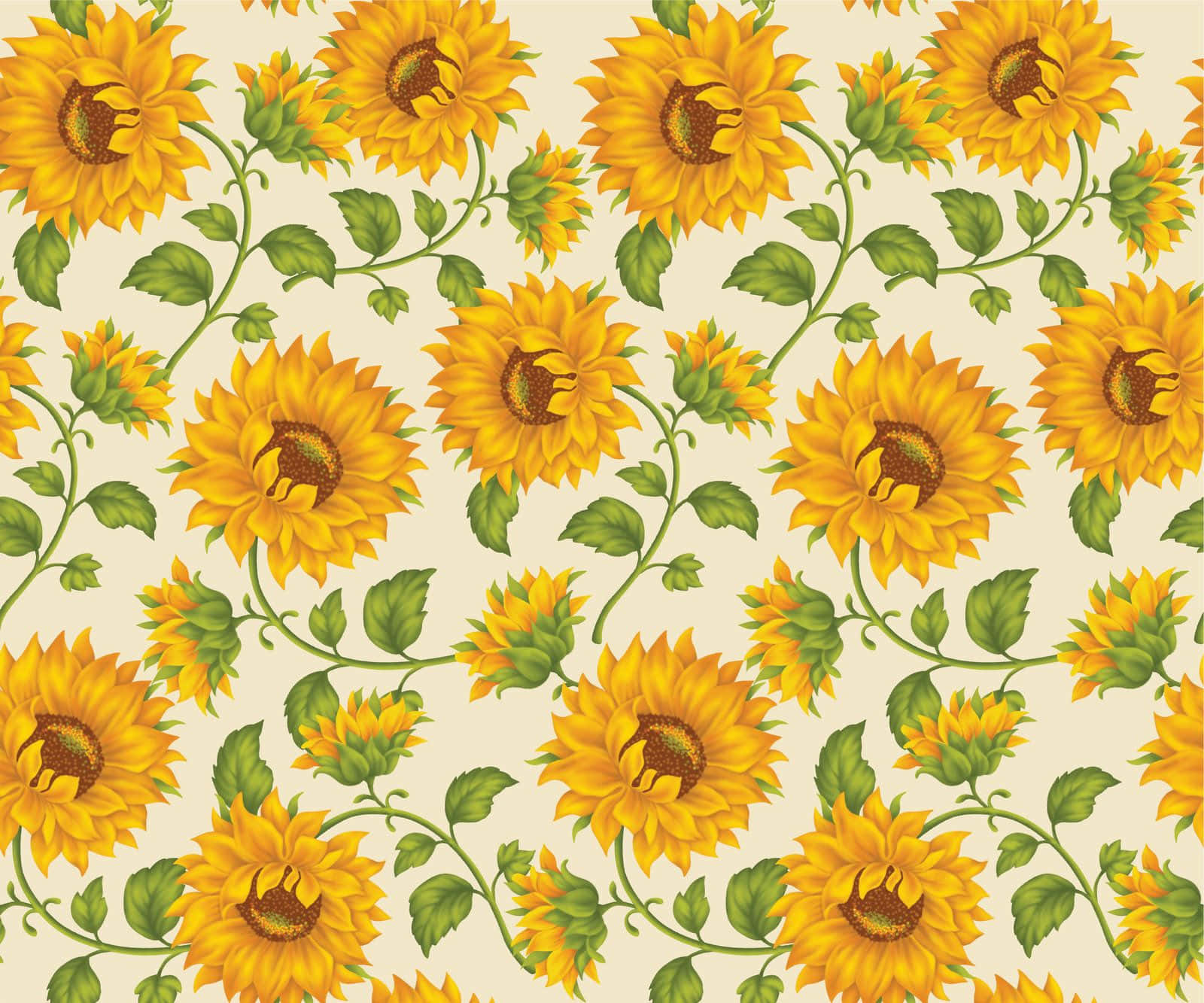 sunflowers pattern on a white background