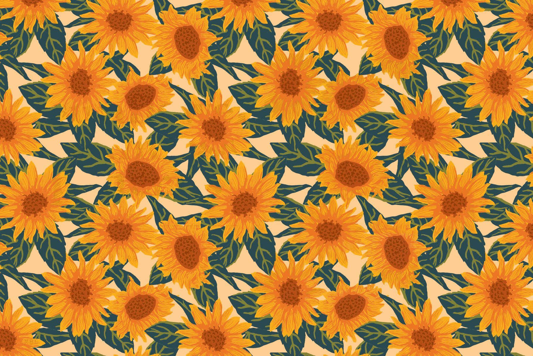 sunflowers on a beige background