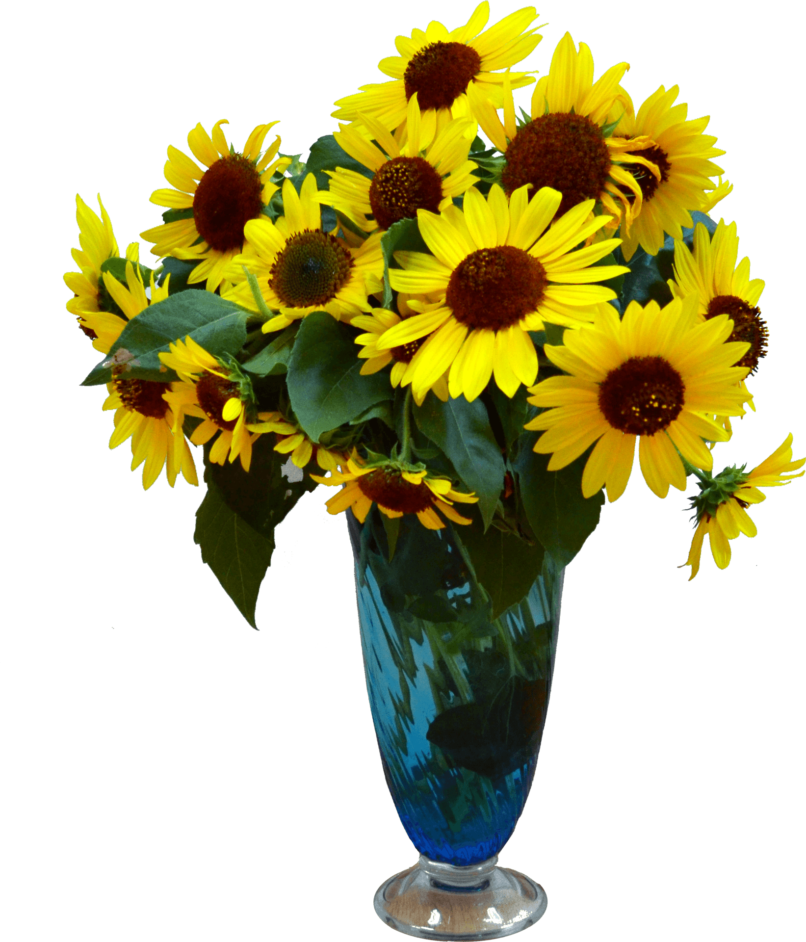 Sunflowersin Blue Vase PNG