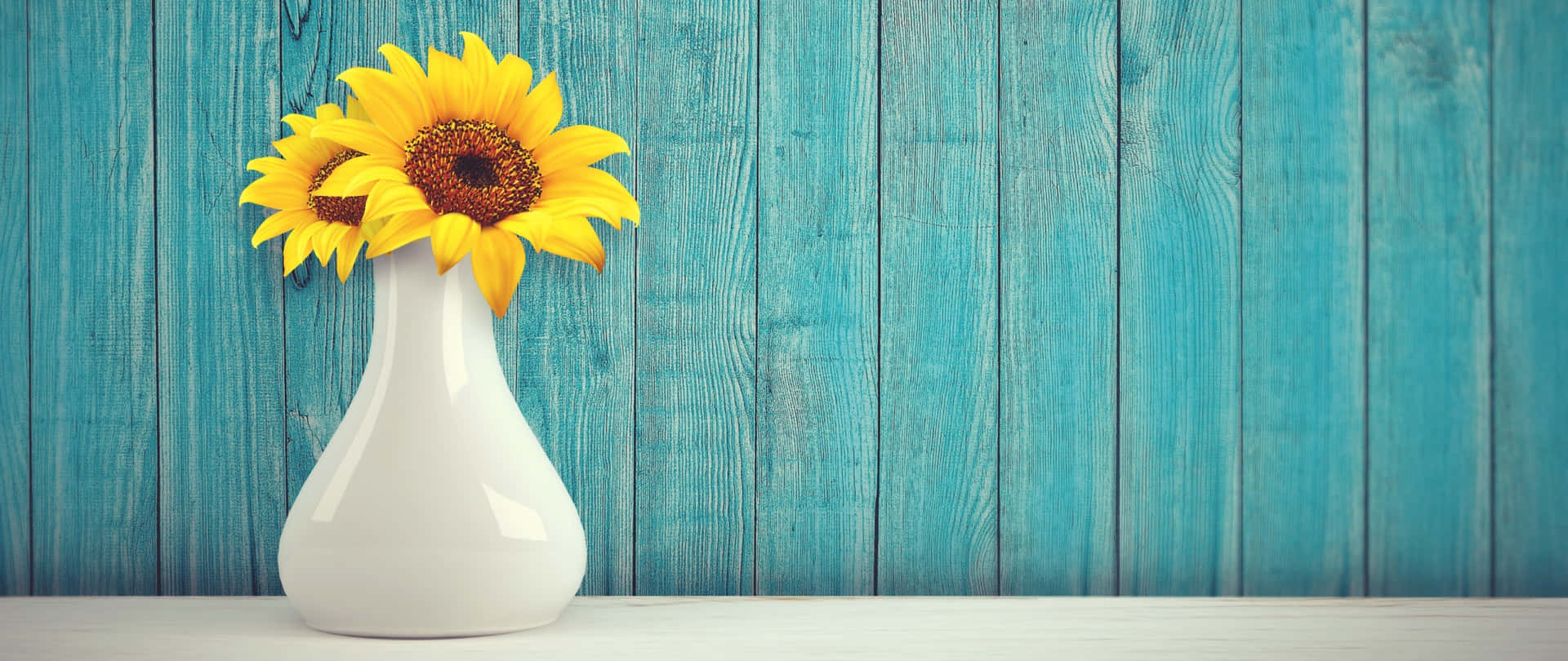 Sunflowersin White Vaseon Blue Background Wallpaper