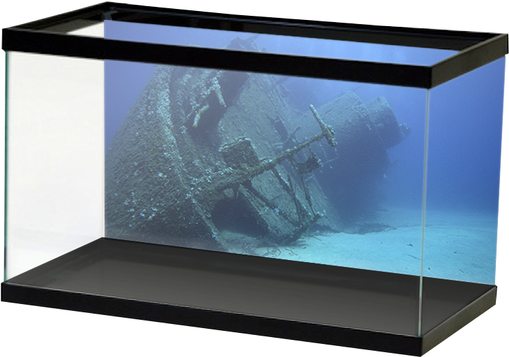 Download Sunken Ship Aquarium Decoration | Wallpapers.com