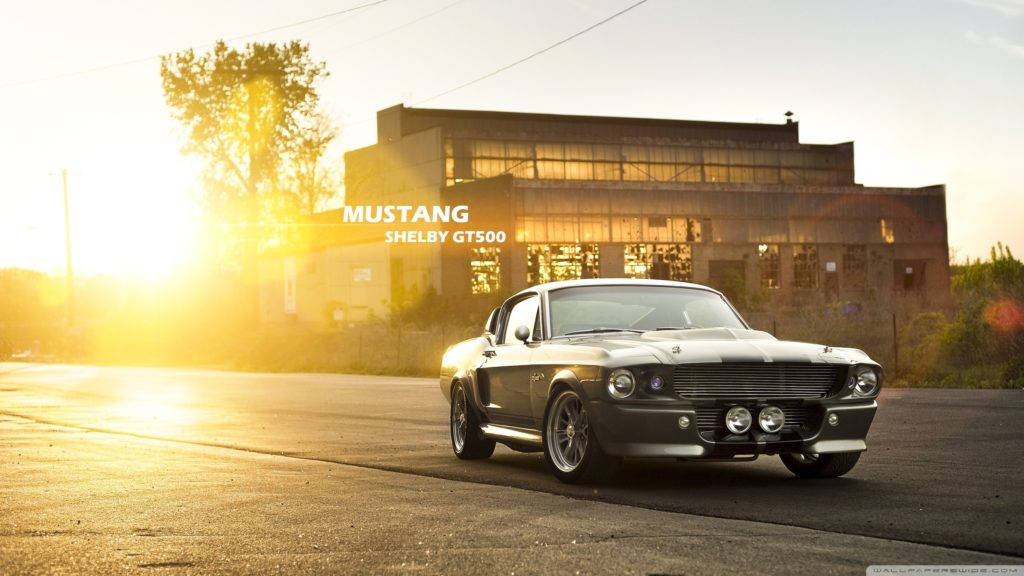 Luzsolar Sobre O Mustang Gt500 Shelby Em Alta Definição. Papel de Parede