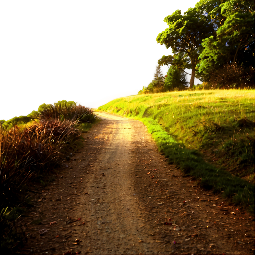 Sunlit Countryside Path Png 32 PNG