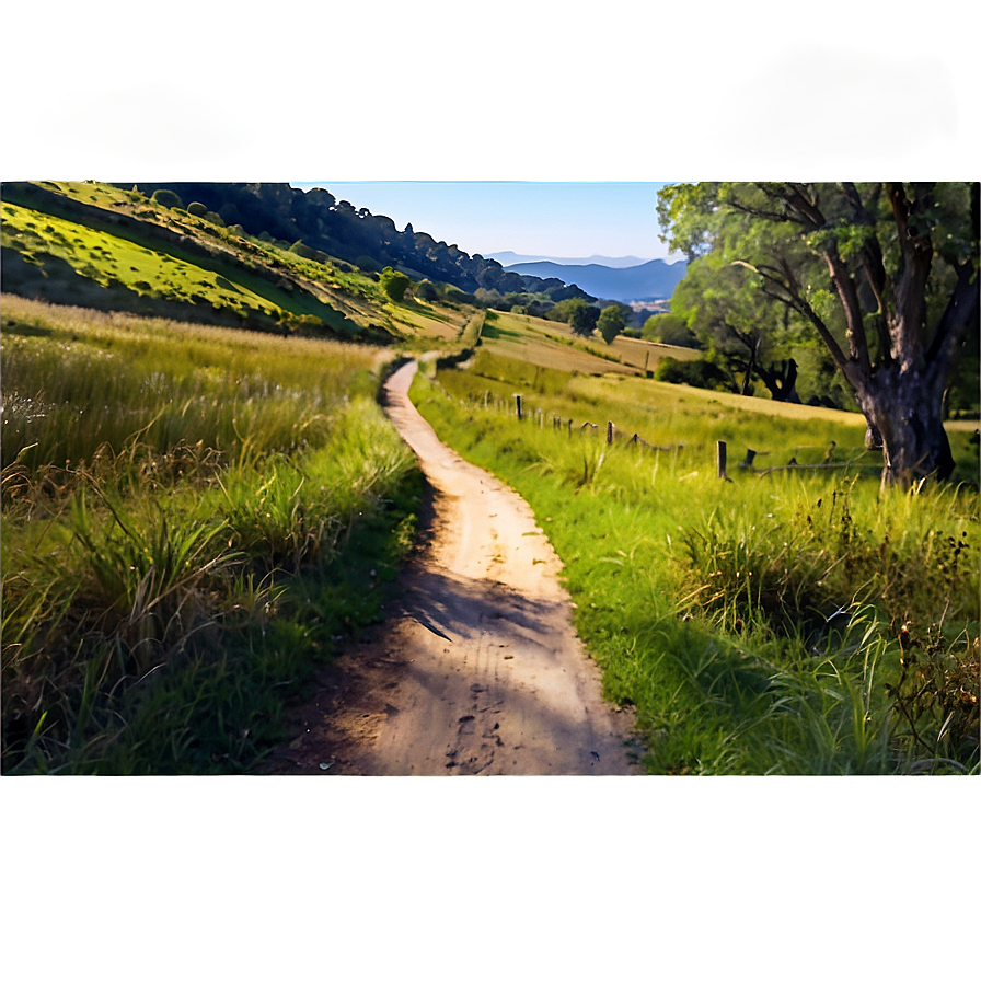 Sunlit Countryside Path Png Mwl11 PNG