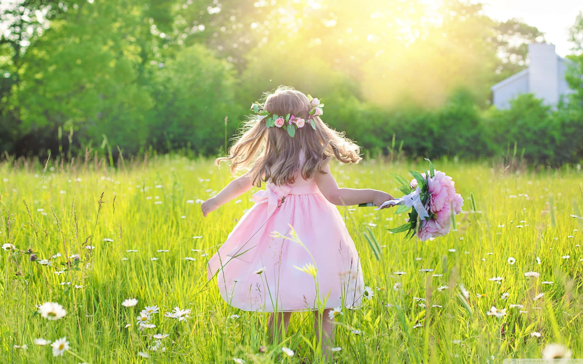 Sunlit Field Little Girl Wallpaper