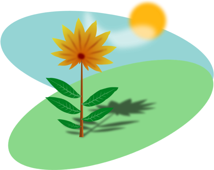 Sunlit Flower Illustration PNG